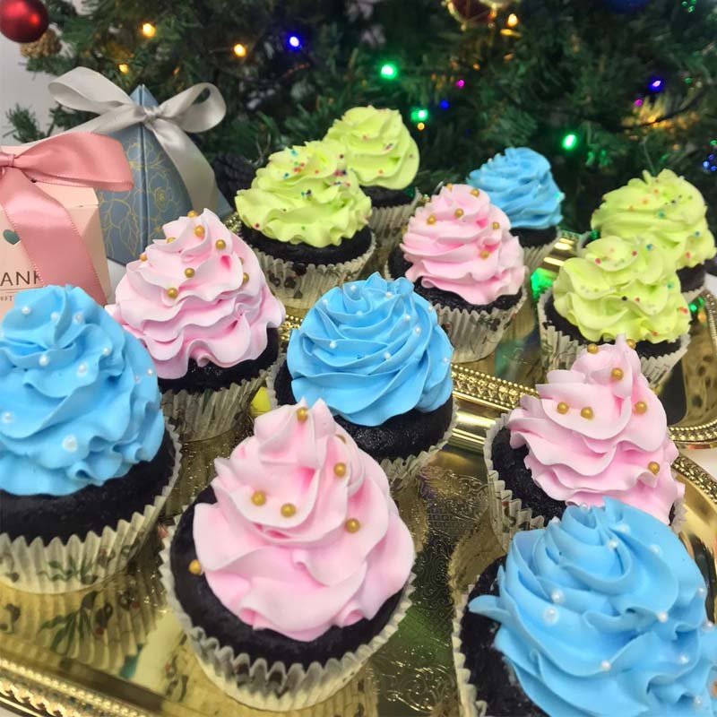 Chocolate Cupcake/ Vanilla Cupcake