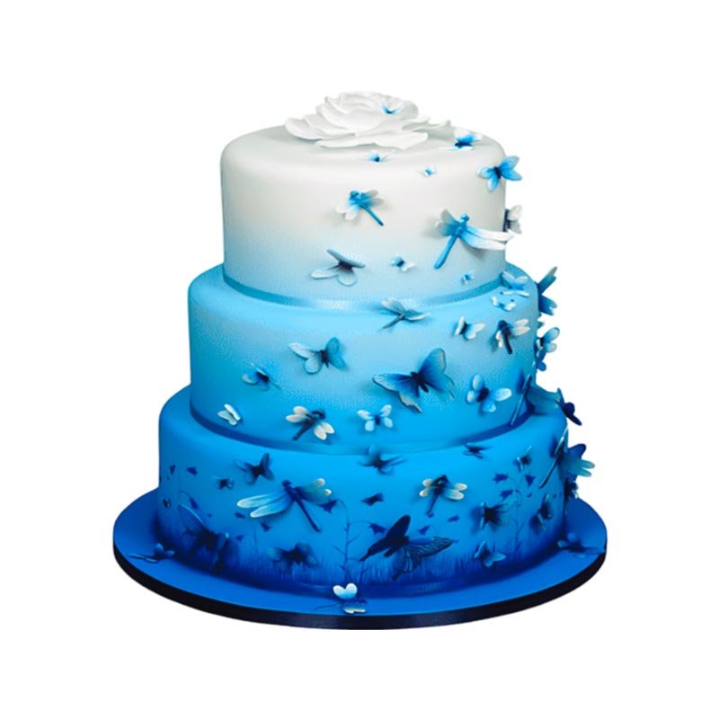 3 Tier Butterfly Cake-1