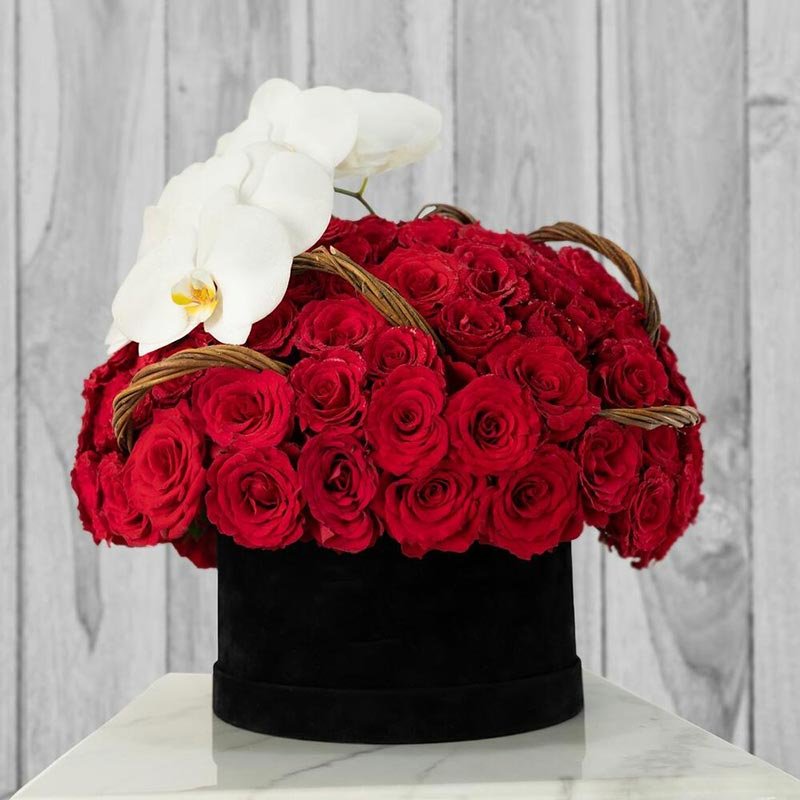 151 Premium Red Rose Box Arrangement 1