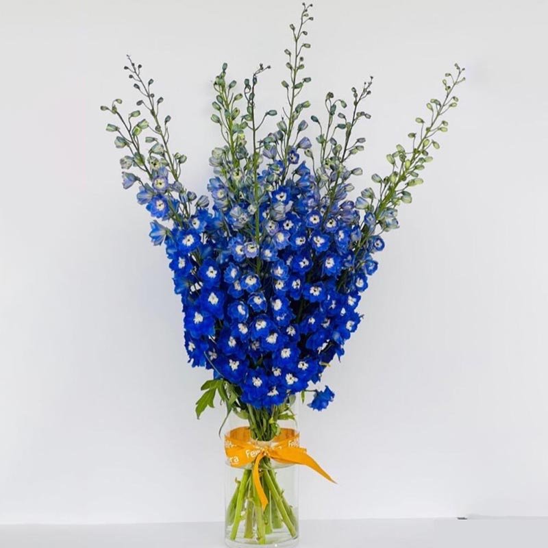 Delphinium Flower Vase