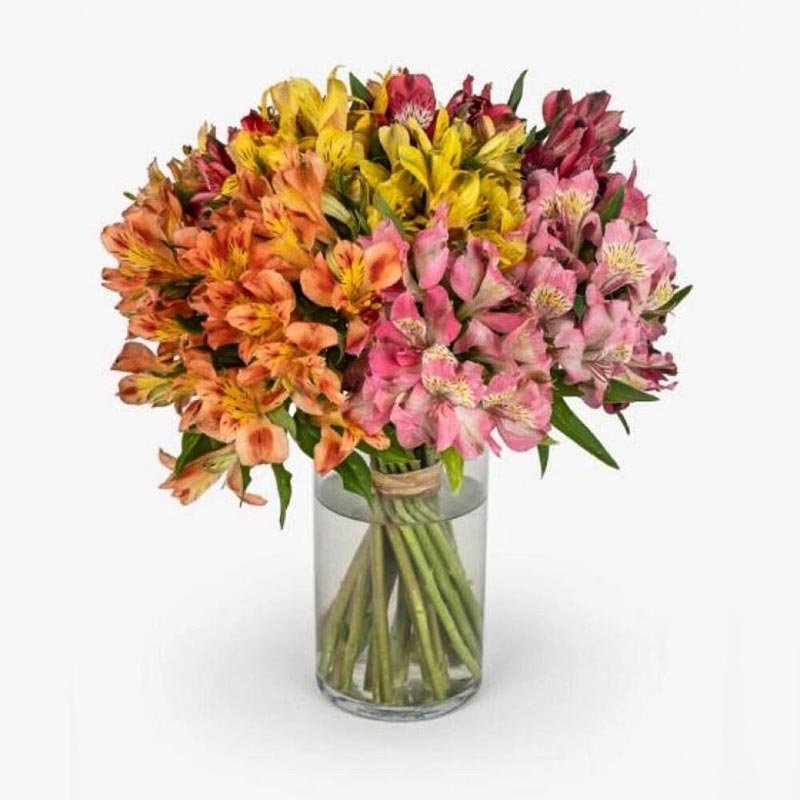Mixed Alstroemeria Flower Vase