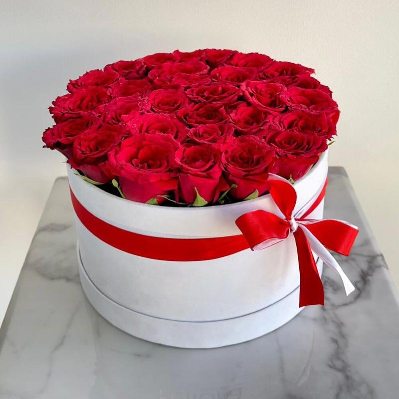 Red Rose In White Round Box