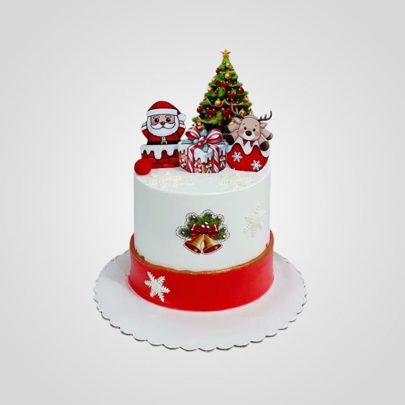 Two tiered Christmas cake
